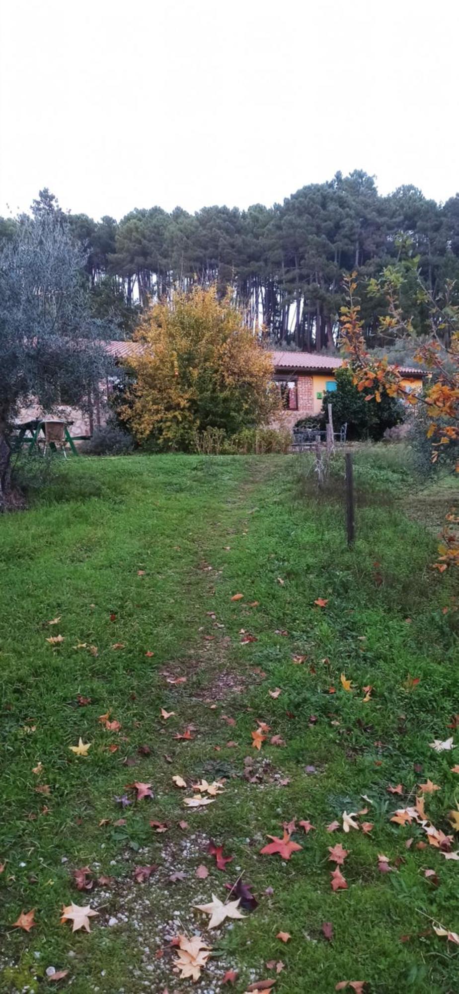 Casa Rural Las Gesillas Arenas de San Pedro Exterior foto